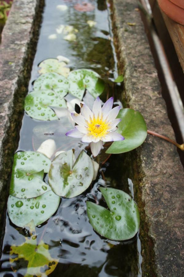 Cheng-Ping Hot Spring Inn Wenquan Ngoại thất bức ảnh